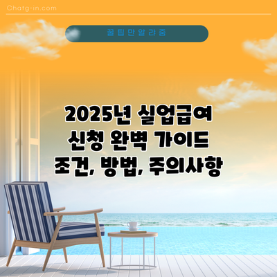 2025년 실업급여 신청 완벽 가이드: 조건, 방법, 주의사항