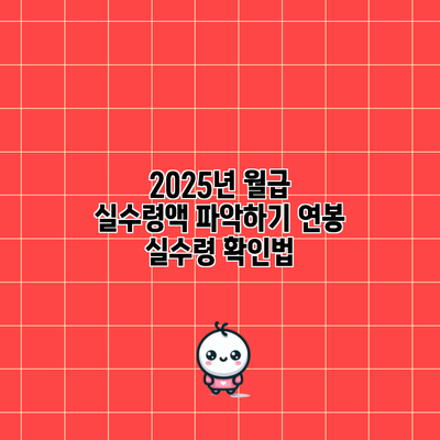 2025년 월급 실수령액 파악하기: 연봉 실수령 확인법