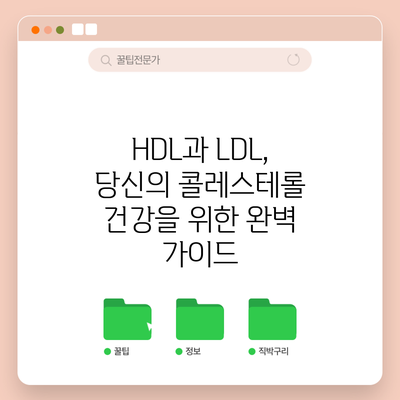 HDL과 LDL, 당신의 콜레스테롤 건강을 위한 완벽 가이드