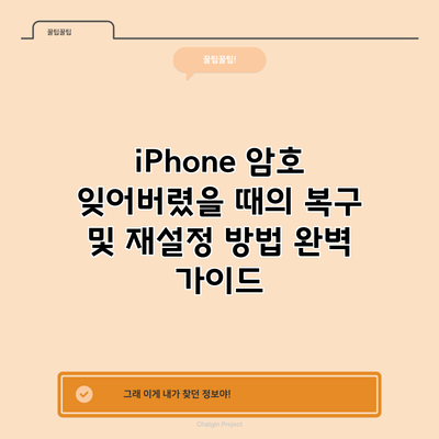 iPhone 암호 잊어버렸을 때의 복구 및 재설정 방법 완벽 가이드