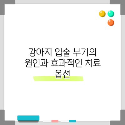 강아지 입술 부기의 원인과 효과적인 치료 옵션