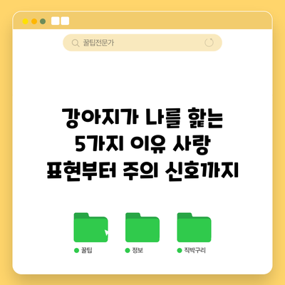 강아지가 나를 핥는 5가지 이유: 사랑 표현부터 주의 신호까지