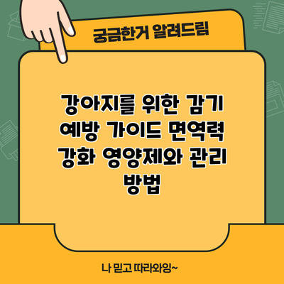 강아지를 위한 감기 예방 가이드: 면역력 강화 영양제와 관리 방법