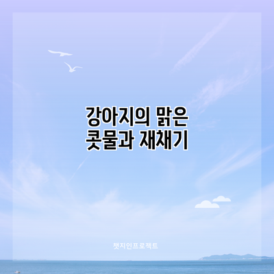 강아지의 맑은 콧물과 재채기