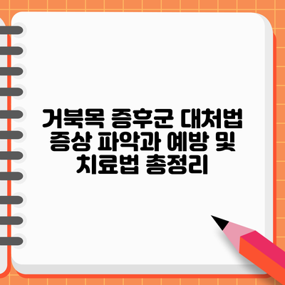 거북목 증후군 대처법: 증상 파악과 예방 및 치료법 총정리