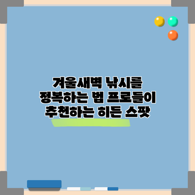 겨울새벽 낚시를 정복하는 법: 프로들이 추천하는 히든 스팟