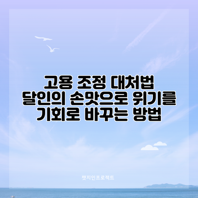 고용 조정 대처법: 달인의 손맛으로 위기를 기회로 바꾸는 방법