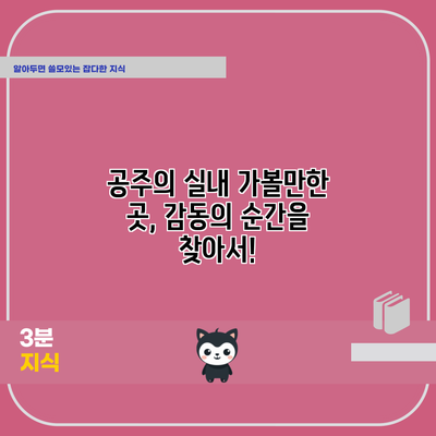 공주의 실내 가볼만한 곳, 감동의 순간을 찾아서!