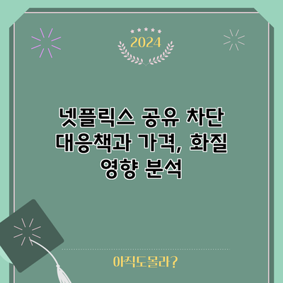 넷플릭스 공유 차단 대응책과 가격, 화질 영향 분석