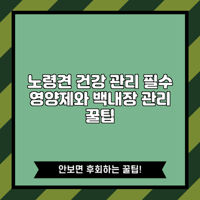 노령견 건강 관리: 필수 영양제와 백내장 관리 꿀팁