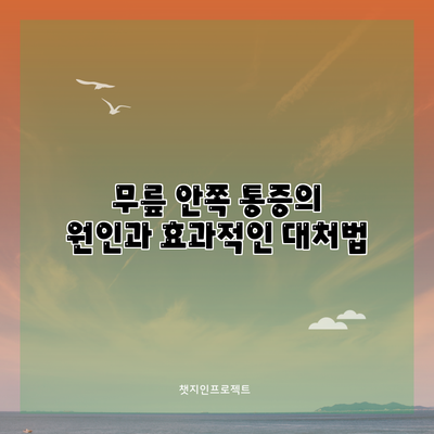 무릎 안쪽 통증의 원인과 효과적인 대처법