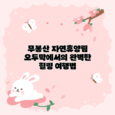 무봉산 자연휴양림 오두막에서의 완벽한 힐링 여행법