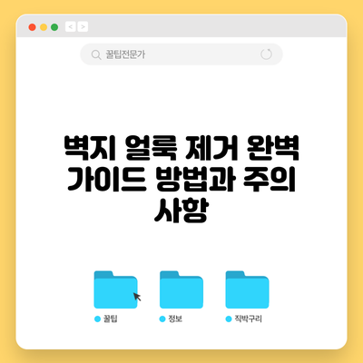 벽지 얼룩 제거 완벽 가이드: 방법과 주의 사항
