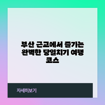부산 근교에서 즐기는 완벽한 당일치기 여행 코스