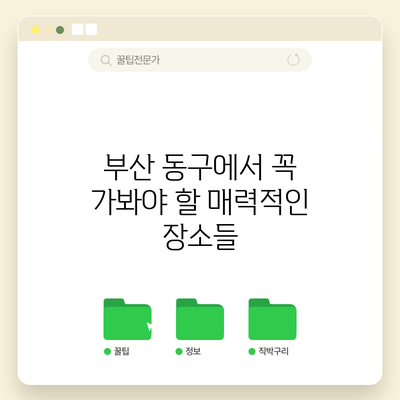 부산 동구에서 꼭 가봐야 할 매력적인 장소들