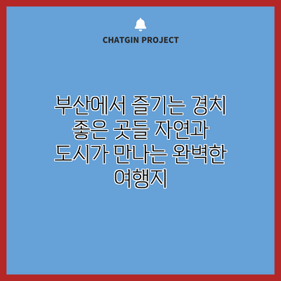 부산에서 즐기는 경치 좋은 곳들: 자연과 도시가 만나는 완벽한 여행지