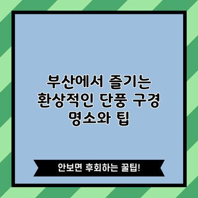 부산에서 즐기는 환상적인 단풍 구경 명소와 팁