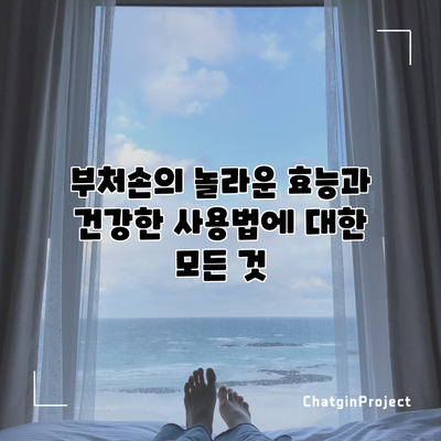 부처손의 놀라운 효능과 건강한 사용법에 대한 모든 것