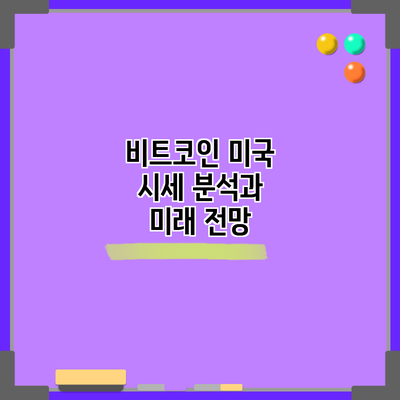 비트코인 미국 시세 분석과 미래 전망