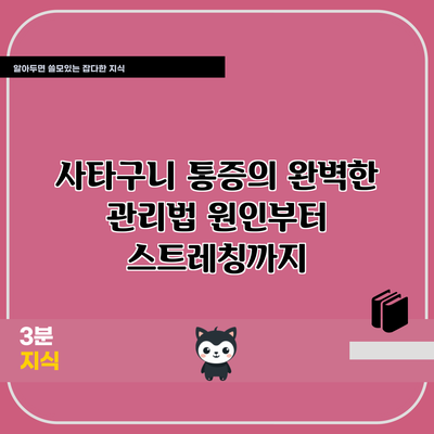 사타구니 통증의 완벽한 관리법: 원인부터 스트레칭까지