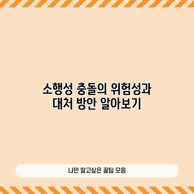 소행성 충돌의 위험성과 대처 방안 알아보기