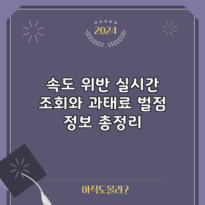 속도 위반 실시간 조회와 과태료 벌점 정보 총정리