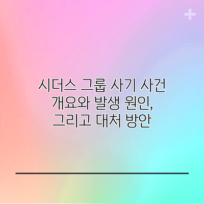 시더스 그룹 사기 사건: 개요와 발생 원인, 그리고 대처 방안
