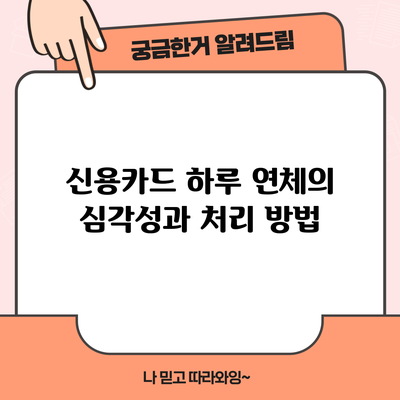 신용카드 하루 연체의 심각성과 처리 방법