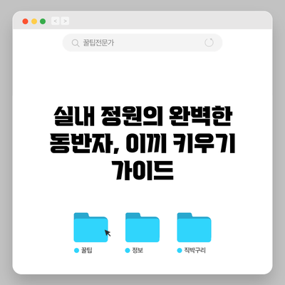 실내 정원의 완벽한 동반자, 이끼 키우기 가이드