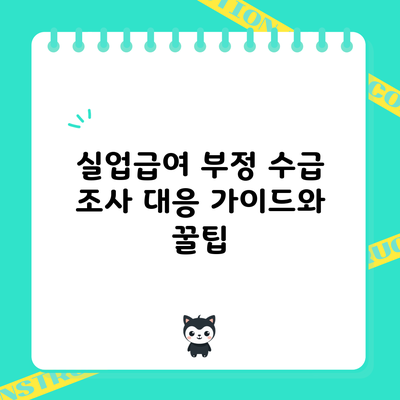 실업급여 부정 수급 조사 대응 가이드와 꿀팁