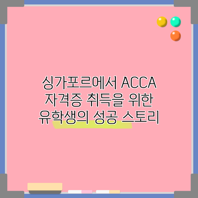 싱가포르에서 ACCA 자격증 취득을 위한 유학생의 성공 스토리