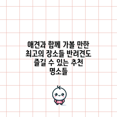 애견과 함께 가볼 만한 최고의 장소들: 반려견도 즐길 수 있는 추천 명소들