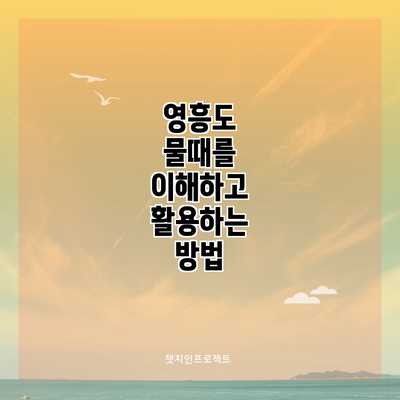 영흥도 물때를 이해하고 활용하는 방법