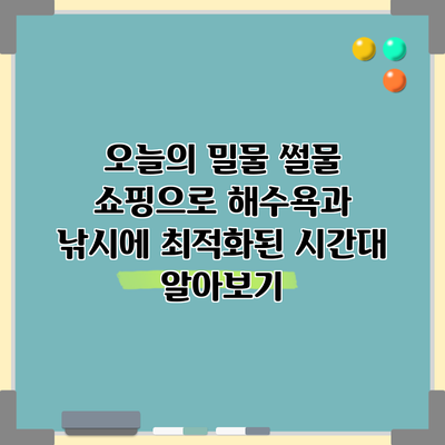 오늘의 밀물 썰물 쇼핑으로 해수욕과 낚시에 최적화된 시간대 알아보기