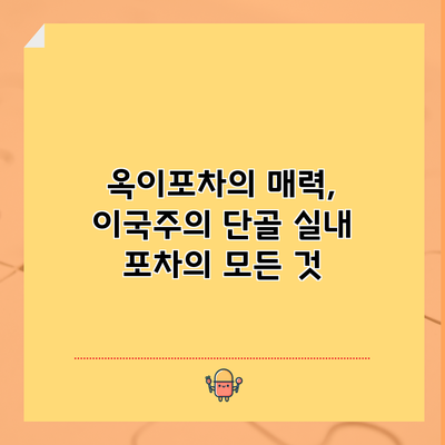 옥이포차의 매력, 이국주의 단골 실내 포차의 모든 것