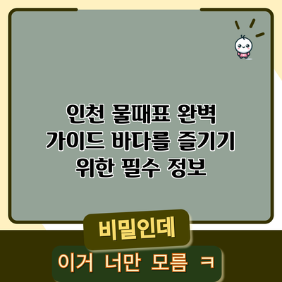 인천 물때표 완벽 가이드: 바다를 즐기기 위한 필수 정보