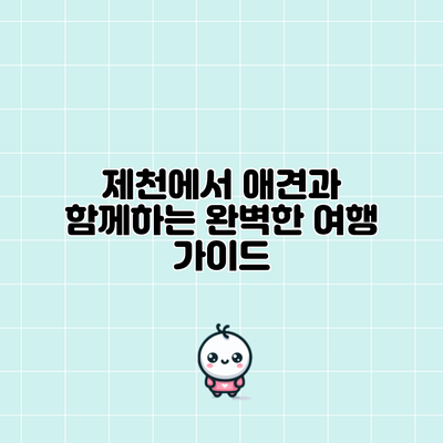 제천에서 애견과 함께하는 완벽한 여행 가이드