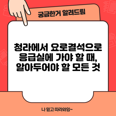청라에서 요로결석으로 응급실에 가야 할 때, 알아두어야 할 모든 것