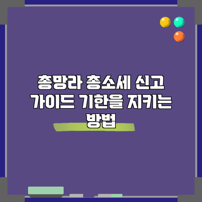 총망라 총소세 신고 가이드: 기한을 지키는 방법