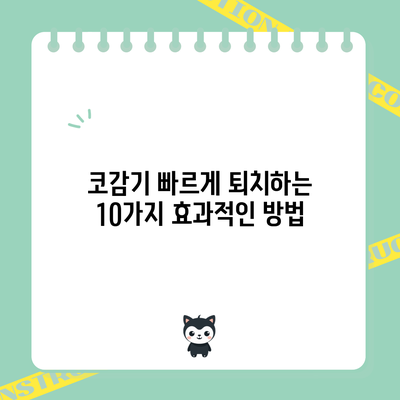 코감기 빠르게 퇴치하는 10가지 효과적인 방법
