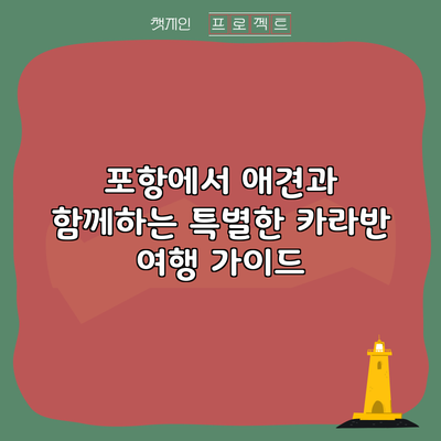 포항에서 애견과 함께하는 특별한 카라반 여행 가이드