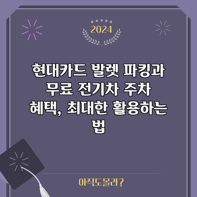 현대카드 발렛 파킹과 무료 전기차 주차 혜택, 최대한 활용하는 법