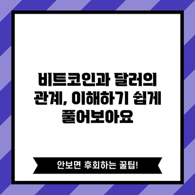 비트코인과 달러의 관계, 이해하기 쉽게 풀어보아요