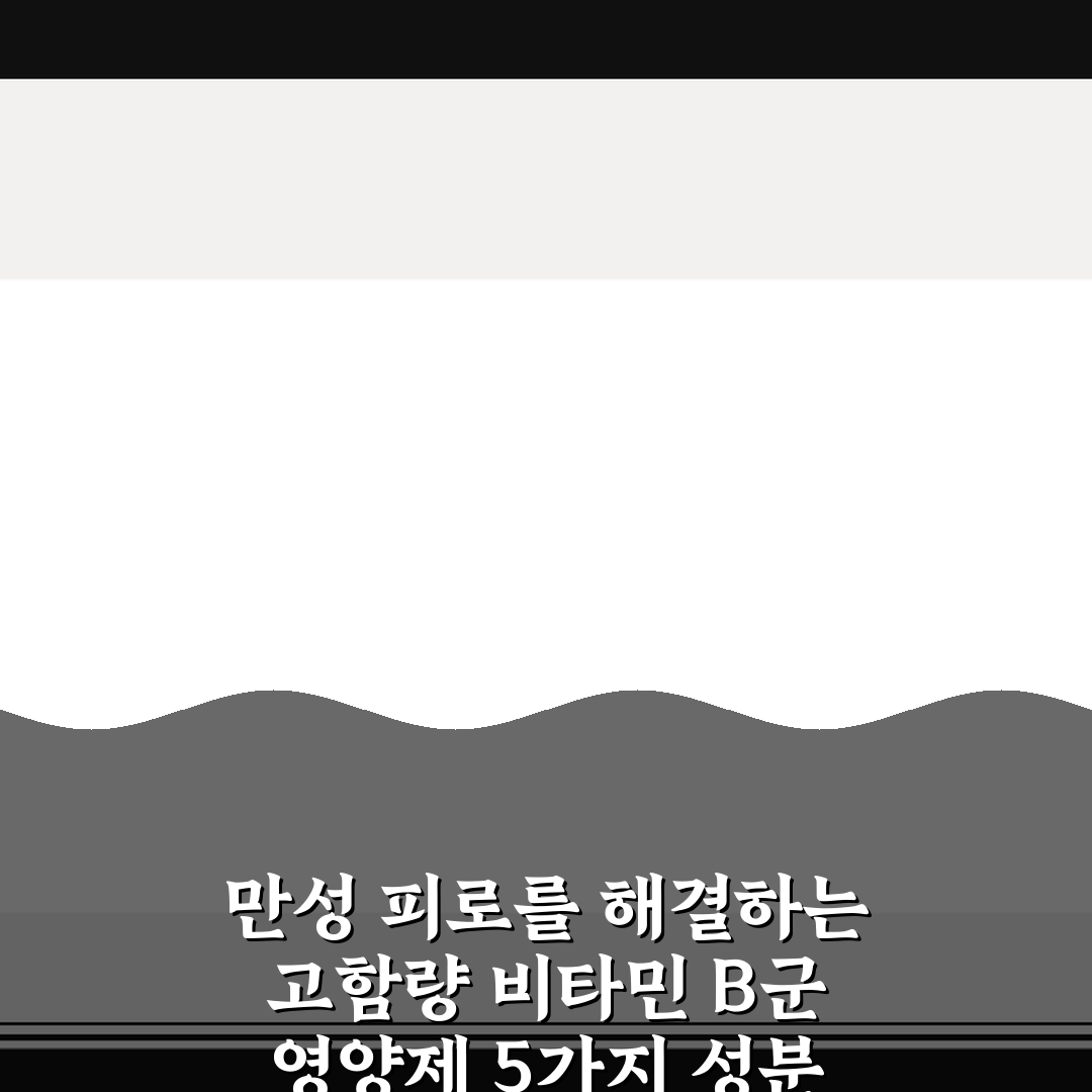 만성 피로를 해결하는 고함량 비타민 B군 영양제 5가지 성분 비교 핵심가이드