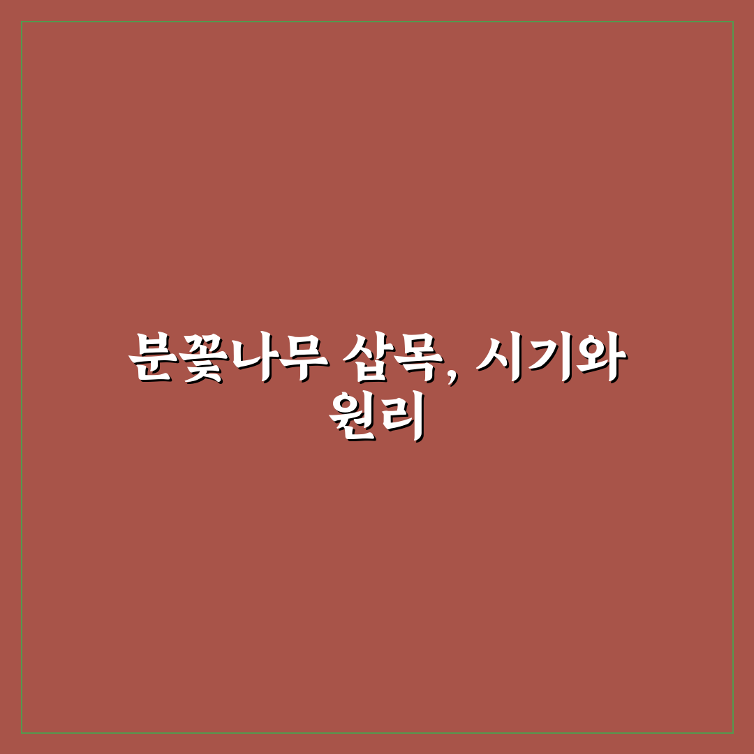 분꽃나무 삽목 방법과 생장 비교 가이드 5가지 체크포인트
