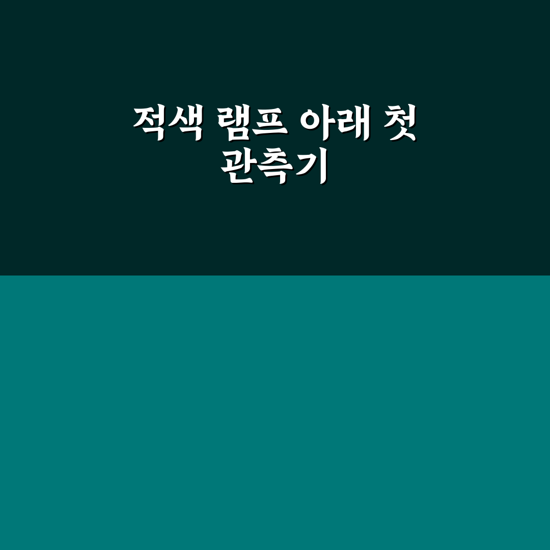 유성우 관측 시 시야 방해를 최소화하는 적색 램프 직접 써본 후기