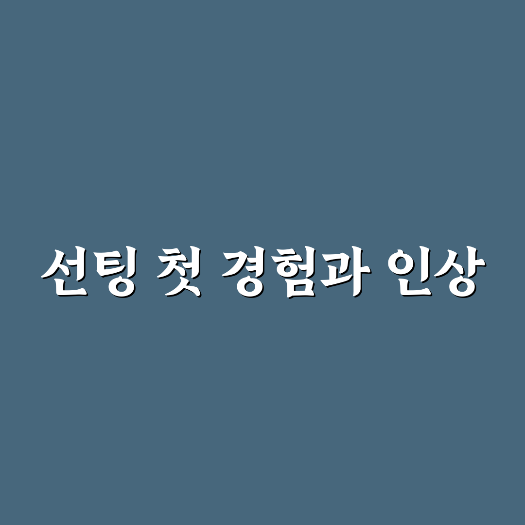 자동차 선팅 농도 규정과 야간 운전 시 주의사항 리얼후기