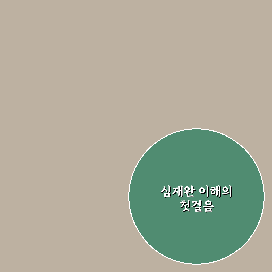 심재완 평가와 성공 요인 5가지 기준 비교 분석