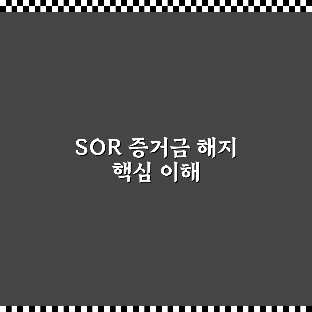 sor증거금해지 절차와 조건 비교 및 판단 가이드
