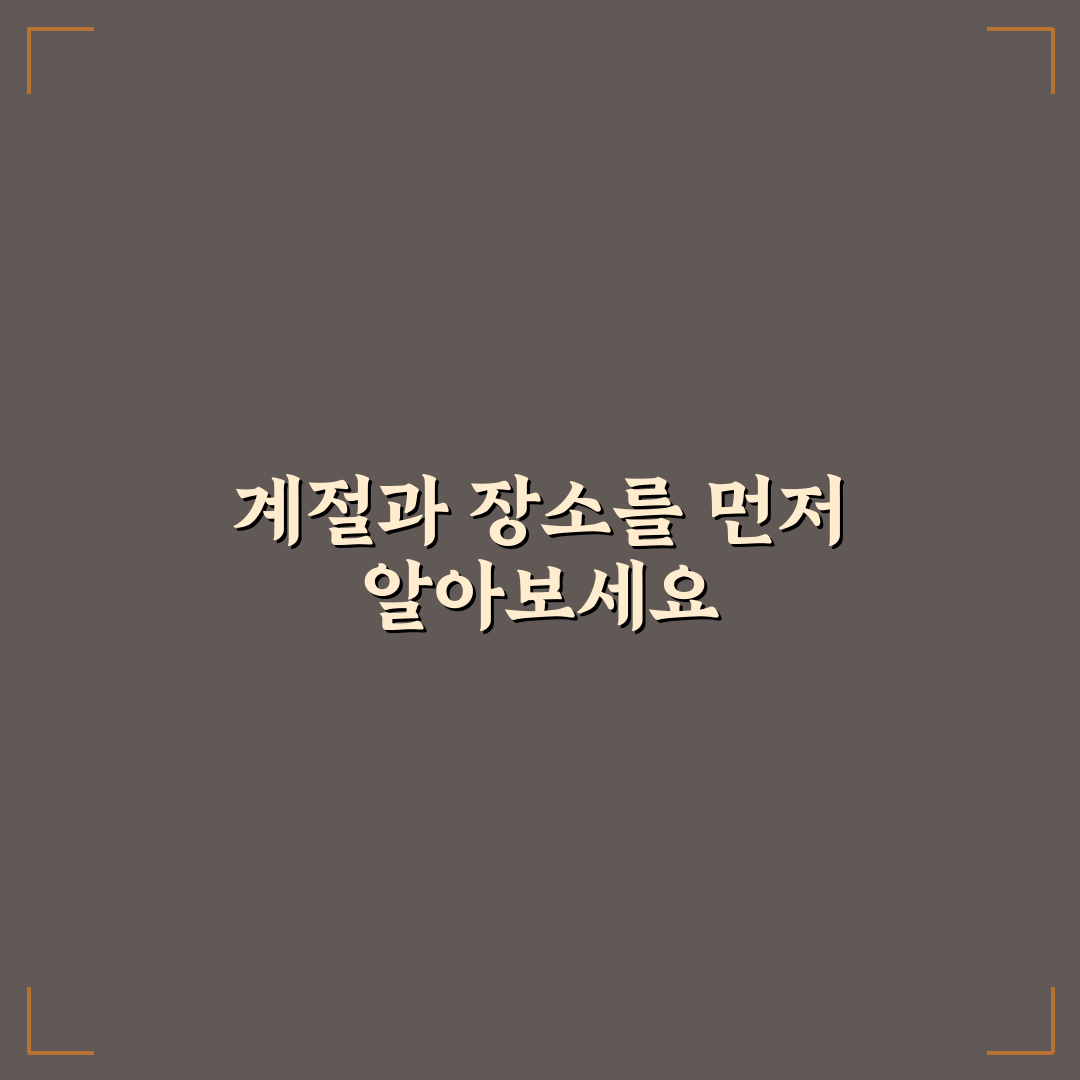 거제 수국축제 방문 전 체크포인트 5가지 비교 분석